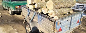 Двоих жителей Татарбунар привлекут к ответственности за незаконную перевозку леса